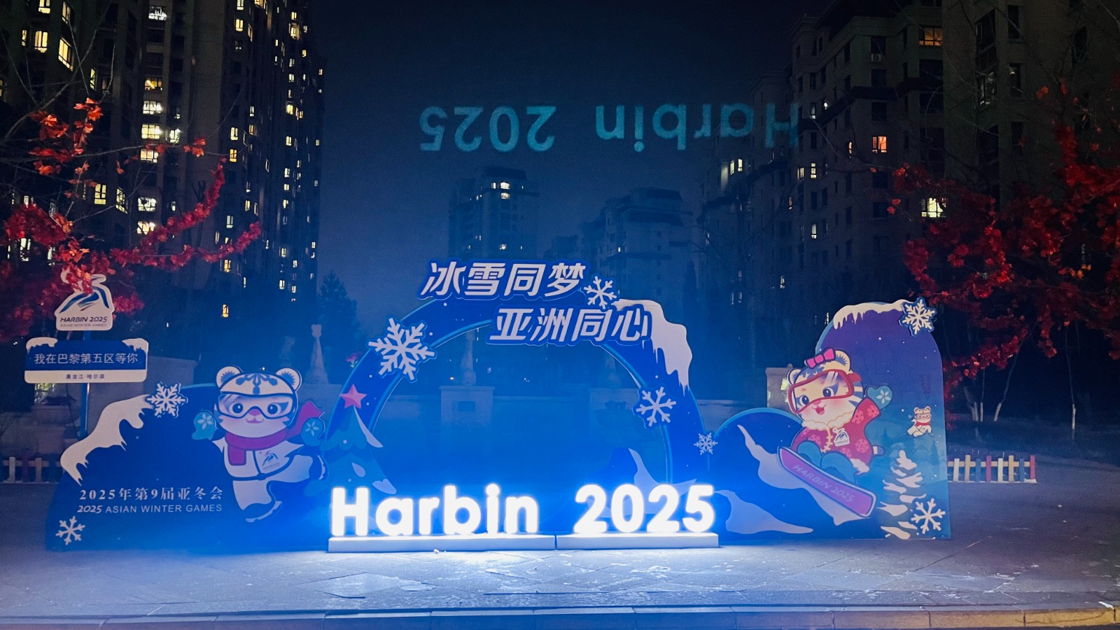 欣匯龍物業|火樹銀花不夜天，流光溢彩迎亞冬